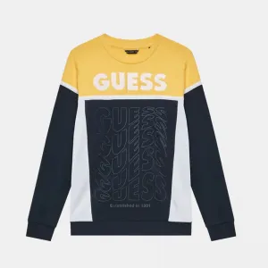 Плътна трицветна блуза с дълъг ръкав за момче Guess Kids